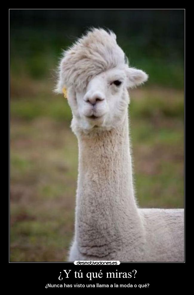 ¿Y tú qué miras? - 