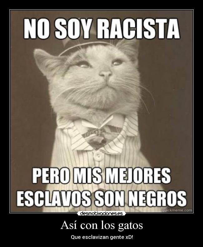 Así con los gatos - Que esclavizan gente xD!