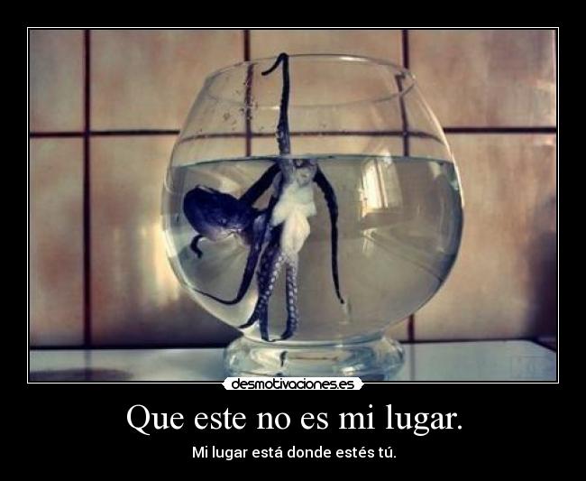 Que este no es mi lugar. - Mi lugar está donde estés tú.