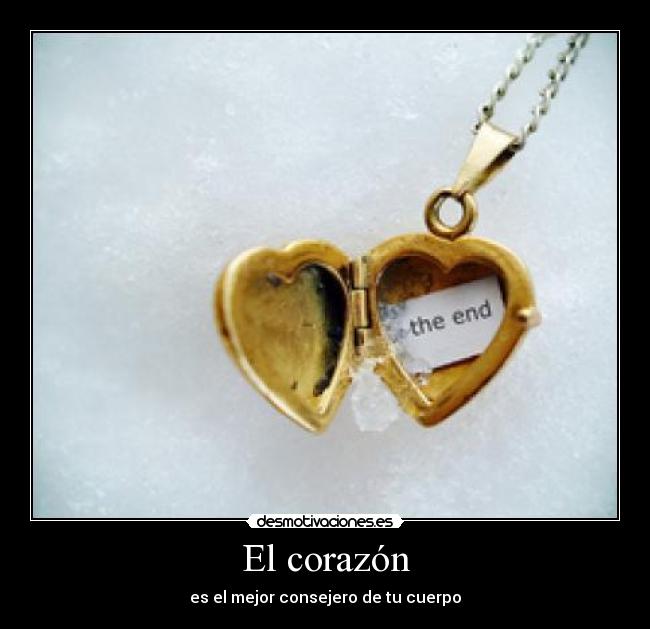 El corazón - es el mejor consejero de tu cuerpo