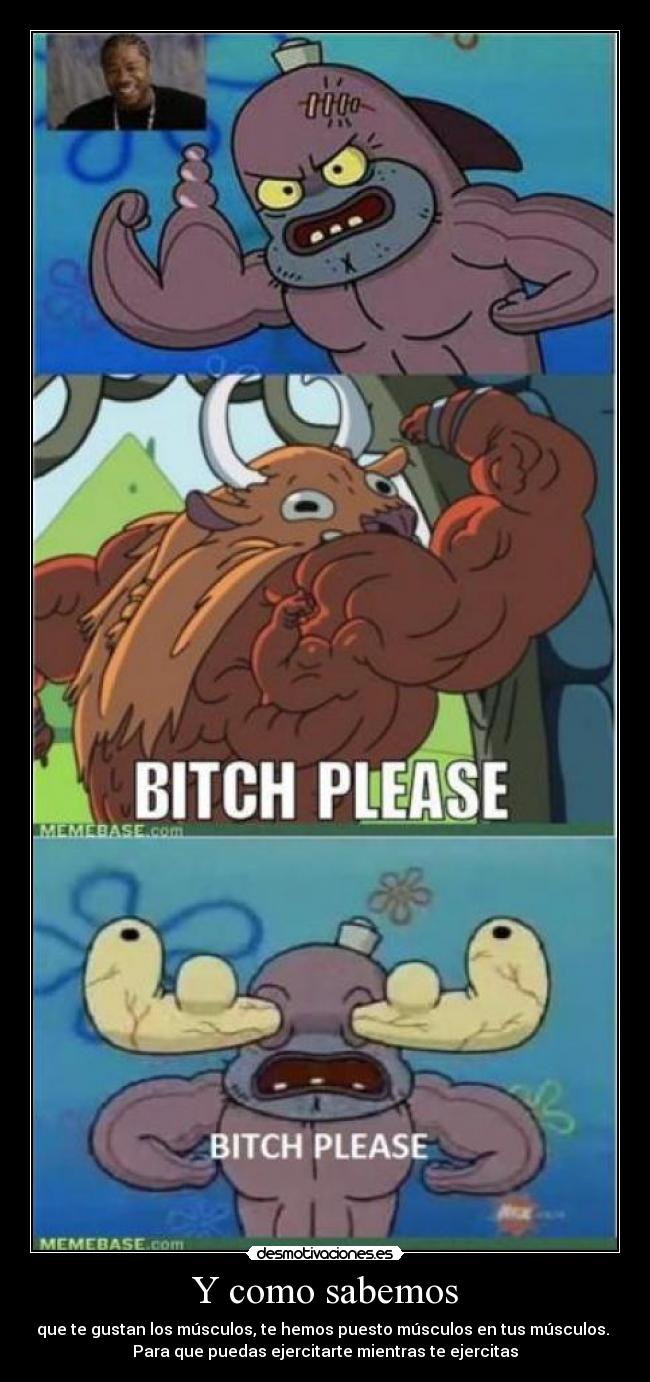 Y como sabemos - que te gustan los músculos, te hemos puesto músculos en tus músculos.
Para que puedas ejercitarte mientras te ejercitas