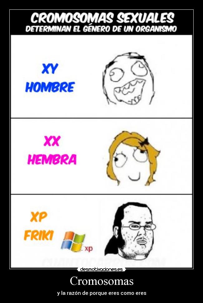 Cromosomas - y la razón de porque eres como eres