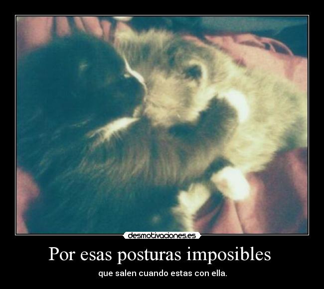 Por esas posturas imposibles  - que salen cuando estas con ella.