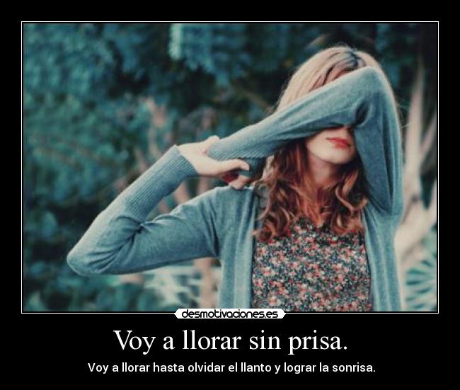 carteles llorar llorar desmotivaciones