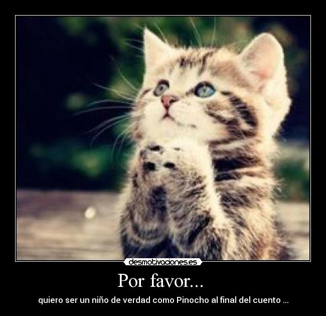 Por favor...  - 