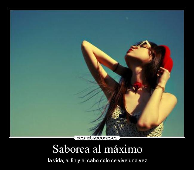 carteles gatitadelcaribe desmotivaciones