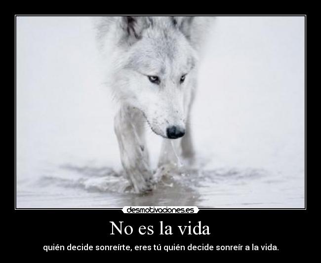 No es la vida - quién decide sonreírte, eres tú quién decide sonreír a la vida.