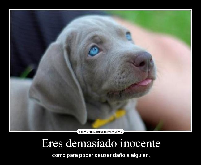 Eres demasiado inocente -
