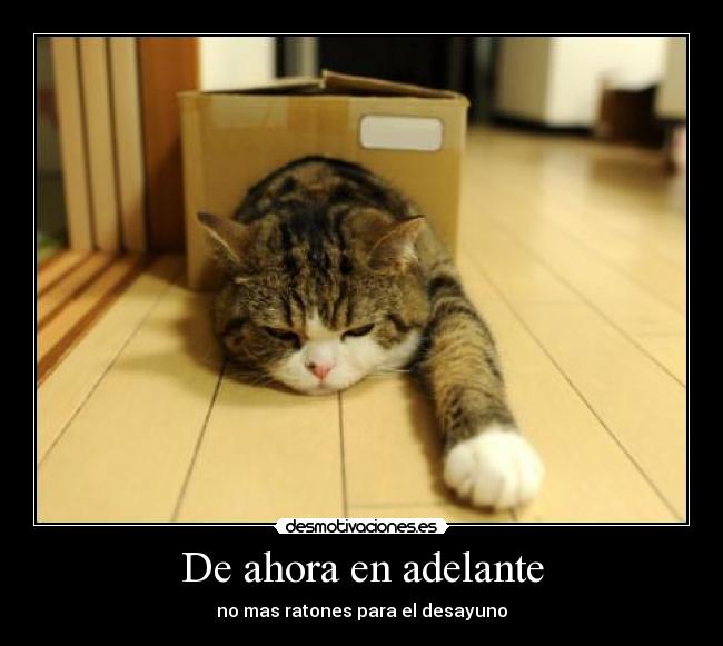 De ahora en adelante - 