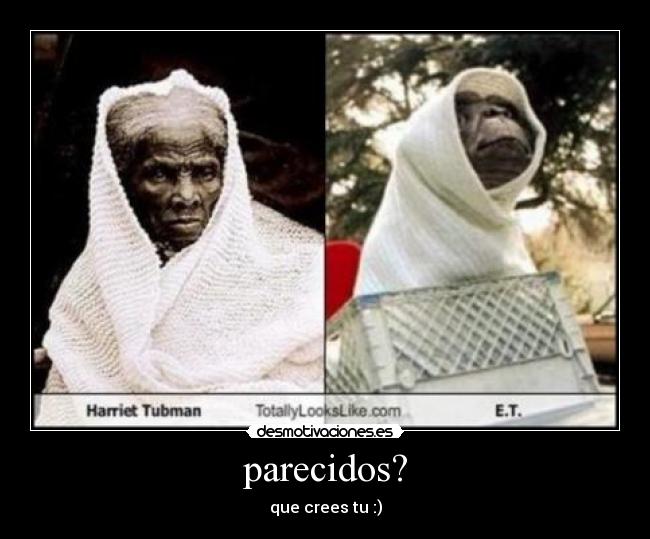 parecidos? -