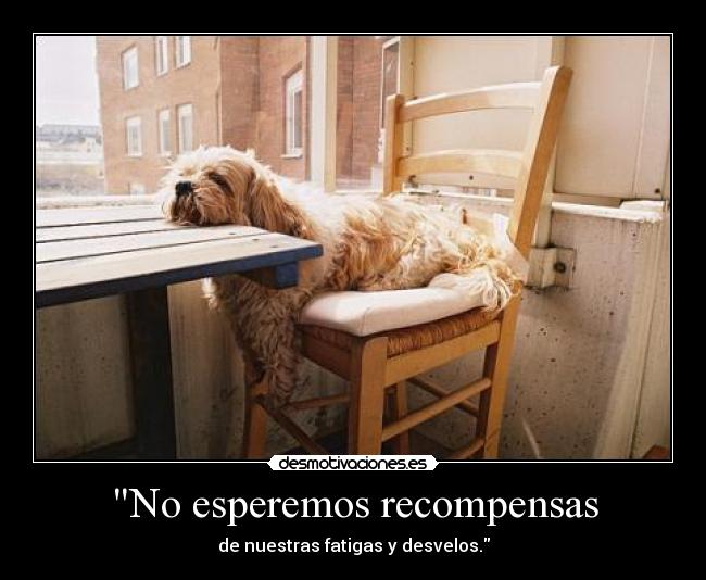 No esperemos recompensas -
