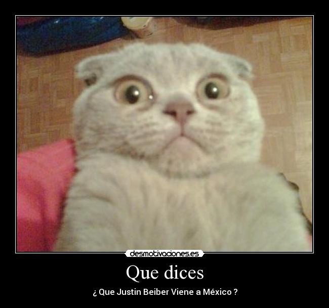 Que dices - 