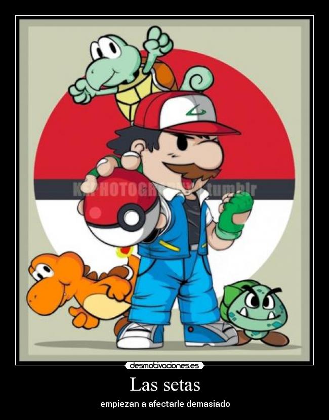 Las setas - 