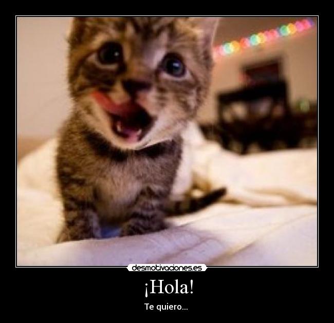 ¡Hola! - 