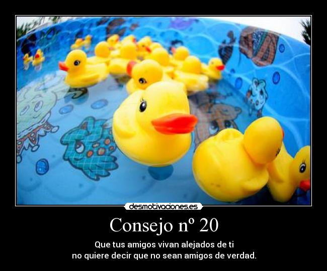 Consejo nº 20 -