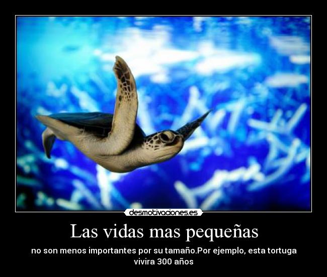 Las vidas mas pequeñas -