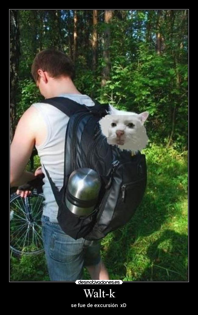 Walt-k - se fue de excursión xD