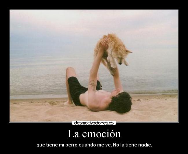 La emoción - que tiene mi perro cuando me ve. No la tiene nadie.
