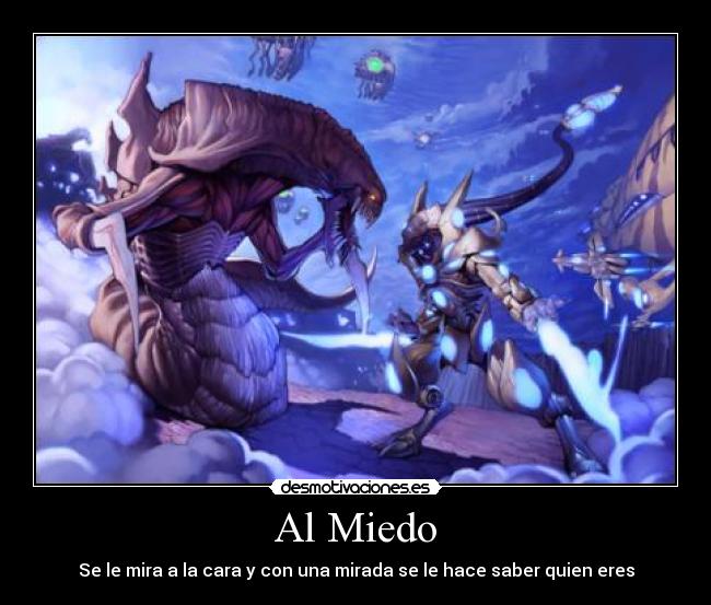 carteles miedo zerg protoss valor miedo vida leccion reflexion desmotivaciones