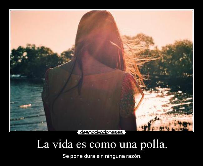 La vida es como una polla. - Se pone dura sin ninguna razón.