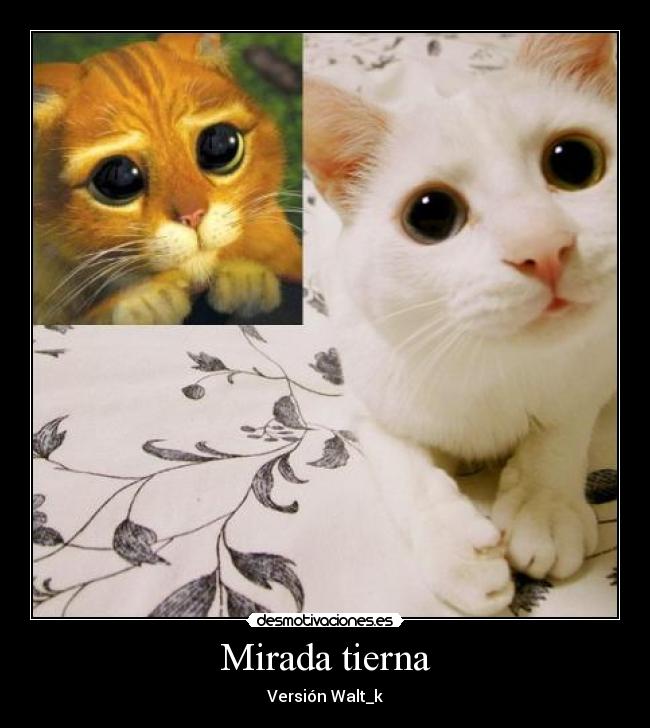 Mirada tierna - Versión Walt_k