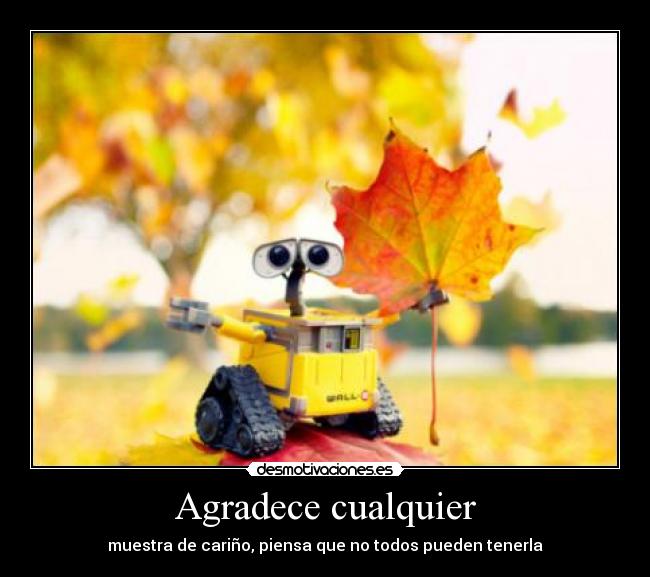 Agradece cualquier - 