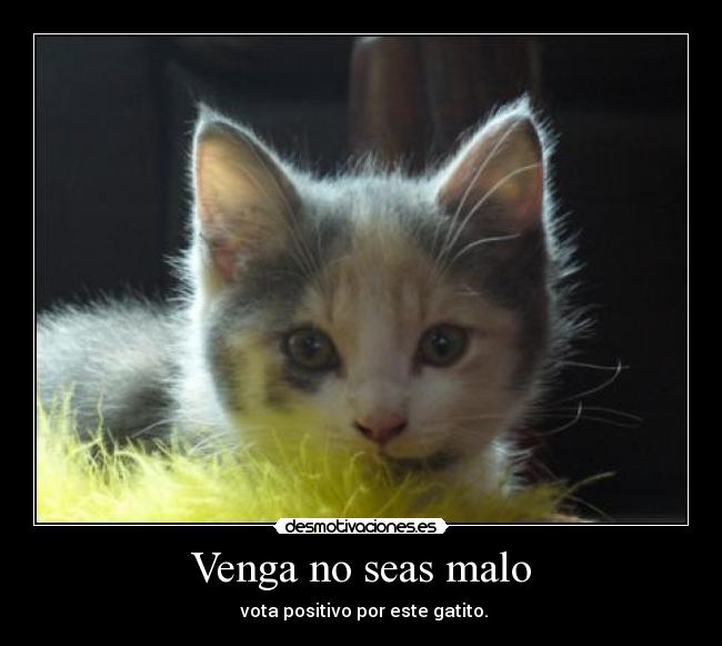Venga no seas malo - 