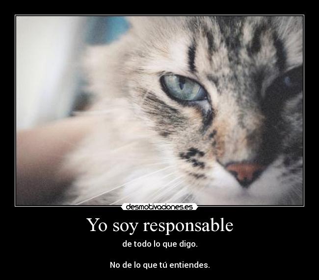 Yo soy responsable - de todo lo que digo.

No de lo que tú entiendes.