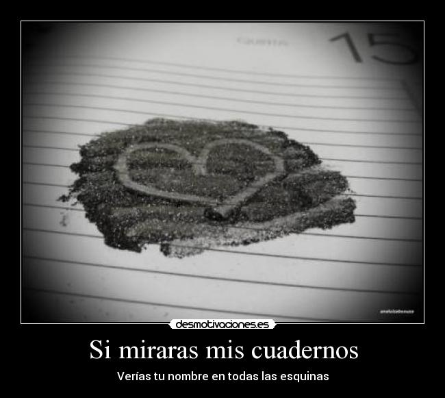 Si miraras mis cuadernos - 