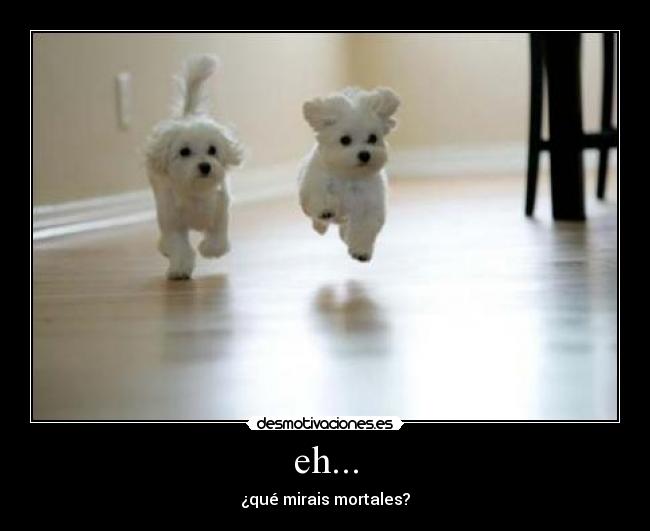 eh... - ¿qué mirais mortales?