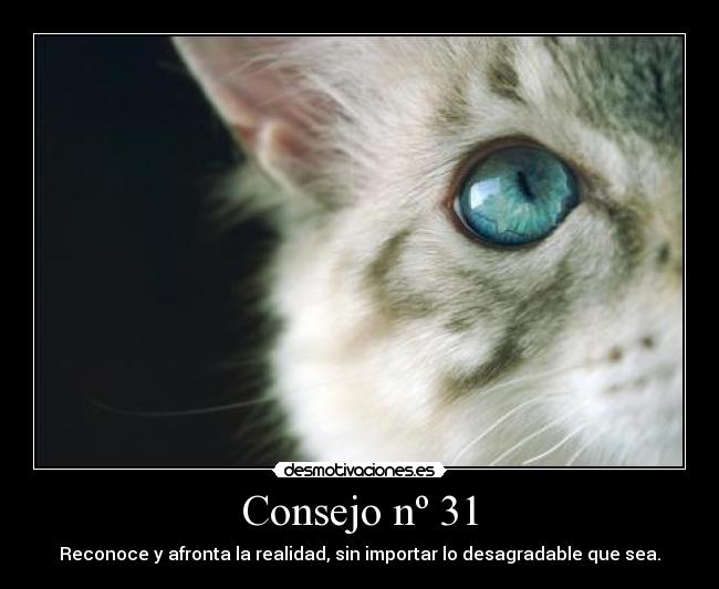 Consejo nº 31 - 