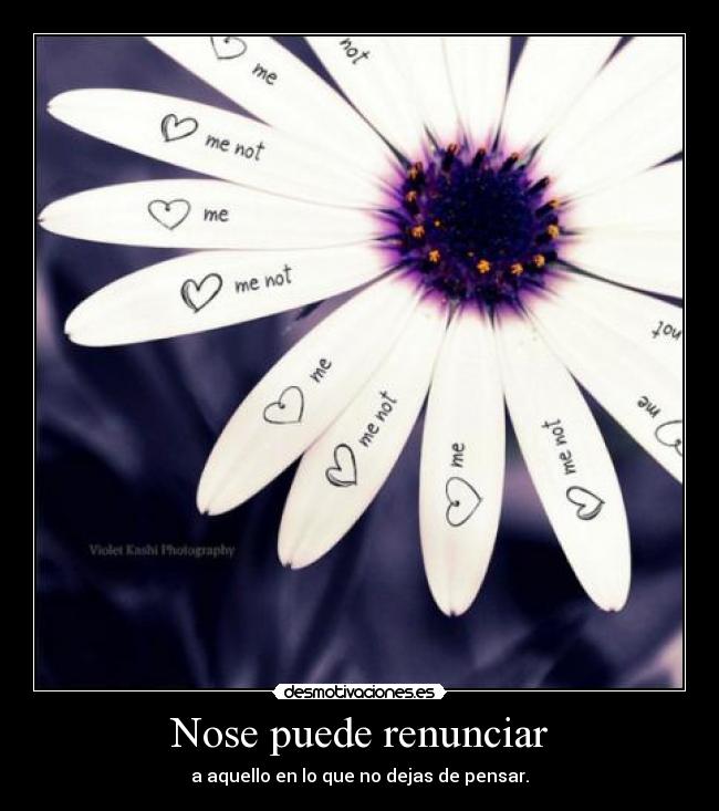 Nose puede renunciar -