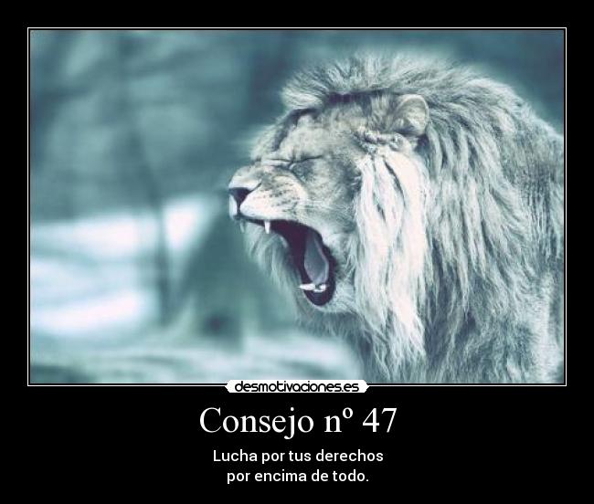 Consejo nº 47 - 