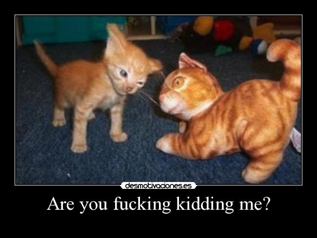 Are you fucking kidding me? - 