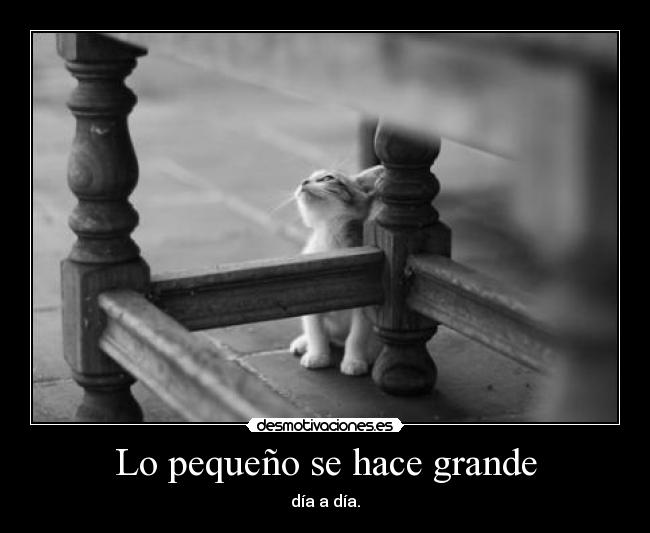 Lo pequeño se hace grande -