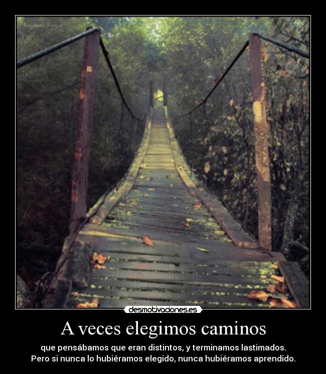A veces elegimos caminos - que pensábamos que eran distintos, y terminamos lastimados.
Pero si nunca lo hubiéramos elegido, nunca hubiéramos aprendido.