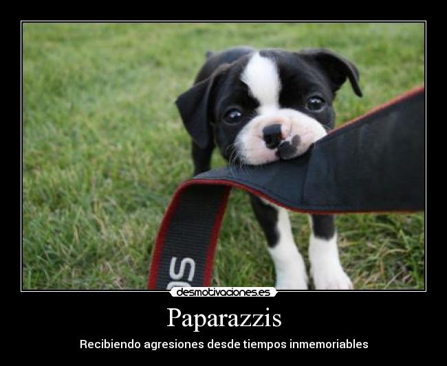 Paparazzis - Recibiendo agresiones desde tiempos inmemoriables