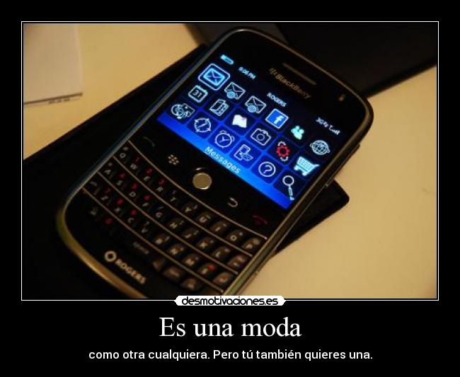 Es una moda - como otra cualquiera. Pero tú también quieres una.