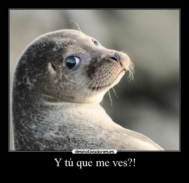 Y tú que me ves?! - 