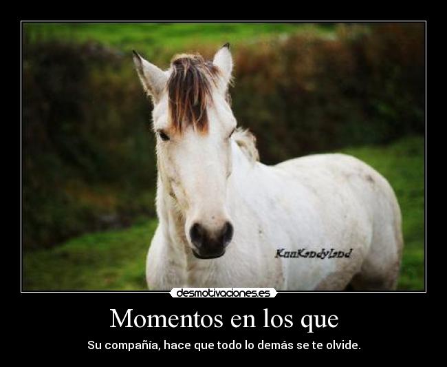 Momentos en los que - Su compañía, hace que todo lo demás se te olvide.