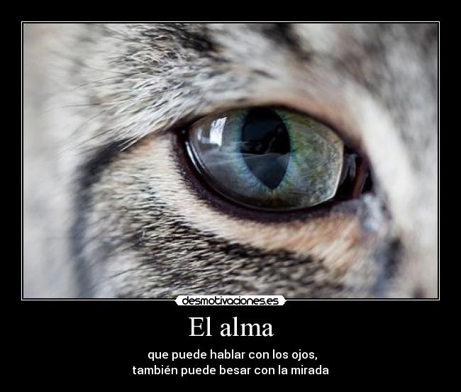El alma -