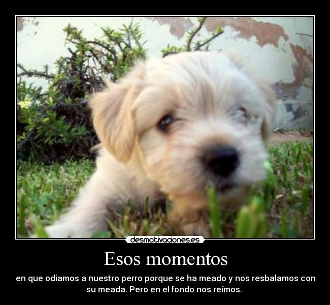 Esos momentos - 