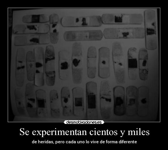 Se experimentan cientos y miles -