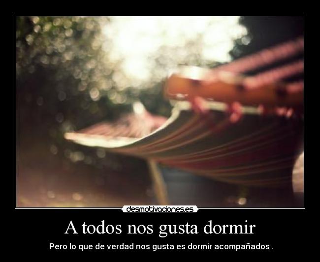 A todos nos gusta dormir - Pero lo que de verdad nos gusta es dormir acompañados .