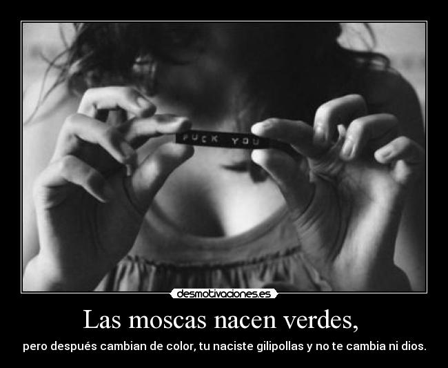 Las moscas nacen verdes, - pero después cambian de color, tu naciste gilipollas y no te cambia ni dios.