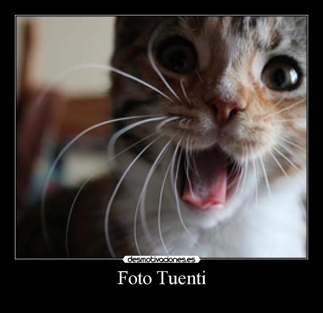 Foto Tuenti - 
