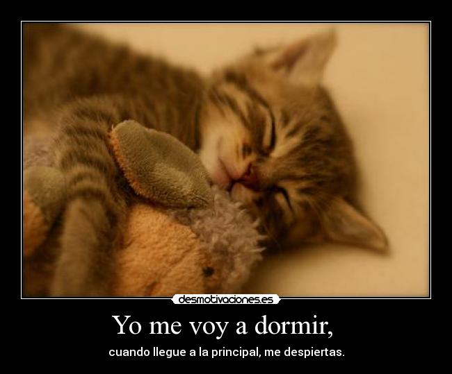 Yo me voy a dormir, - cuando llegue a la principal, me despiertas.