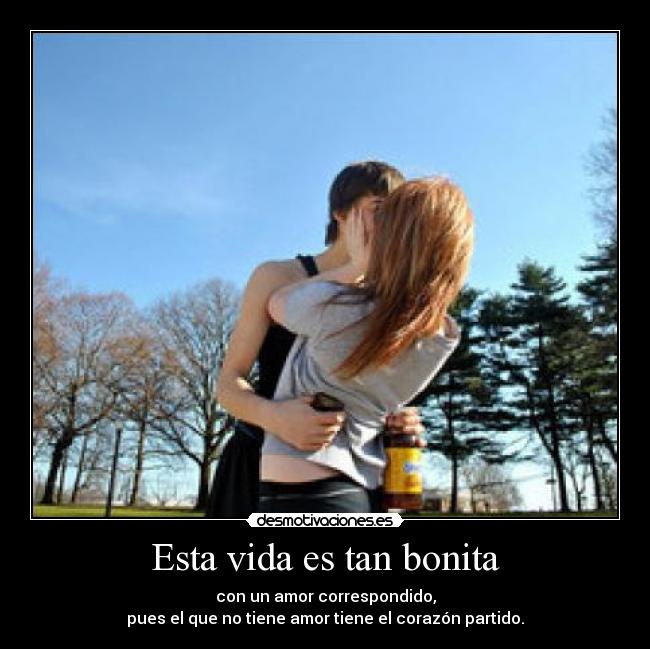 carteles vida amor desmotivaciones