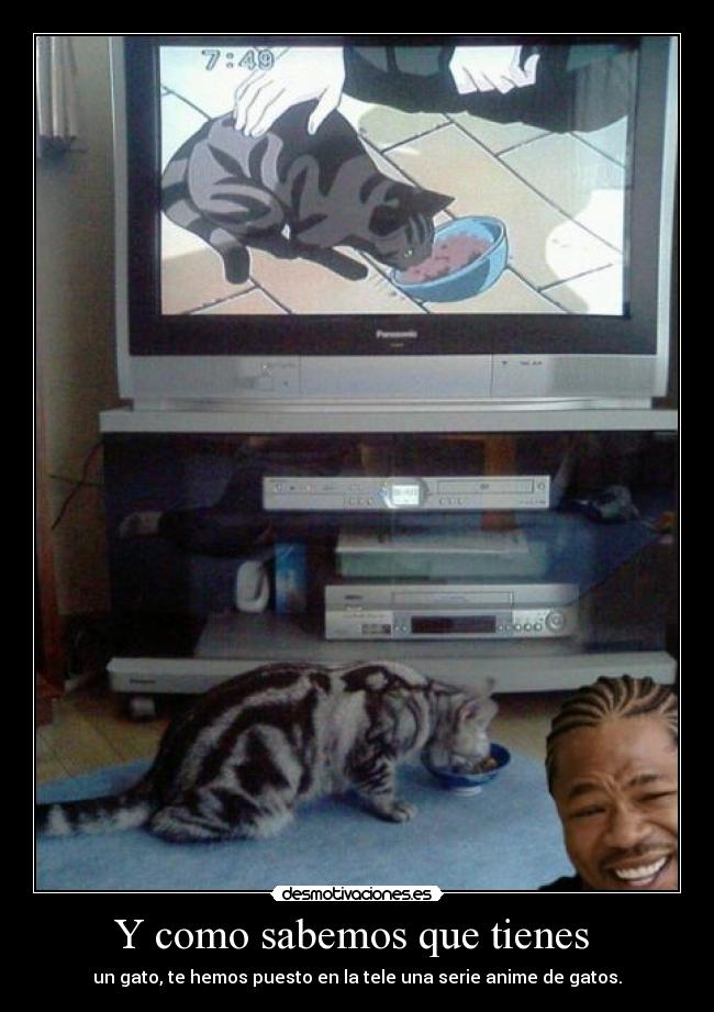 Y como sabemos que tienes  - 