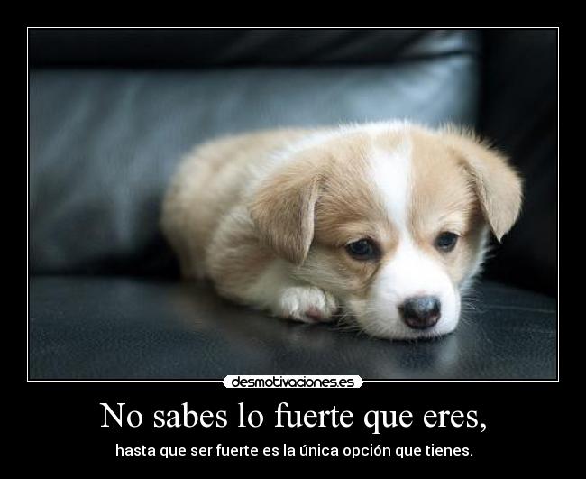 No sabes lo fuerte que eres, - 